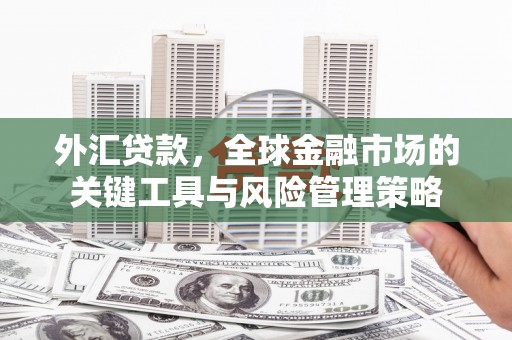 曲靖外汇贷款，全球金融市场的关键工具与风险管理策略