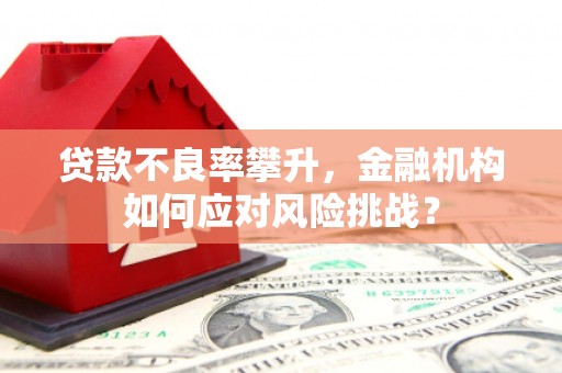曲靖贷款不良率攀升，金融机构如何应对风险挑战？
