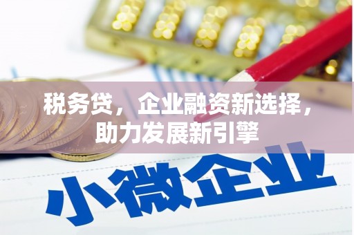 曲靖税务贷，企业融资新选择，助力发展新引擎