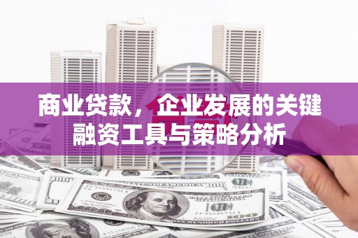 曲靖商业贷款，企业发展的关键融资工具与策略分析