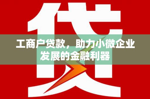 曲靖工商户贷款，助力小微企业发展的金融利器