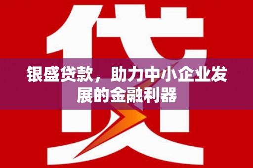 曲靖银盛贷款，助力中小企业发展的金融利器