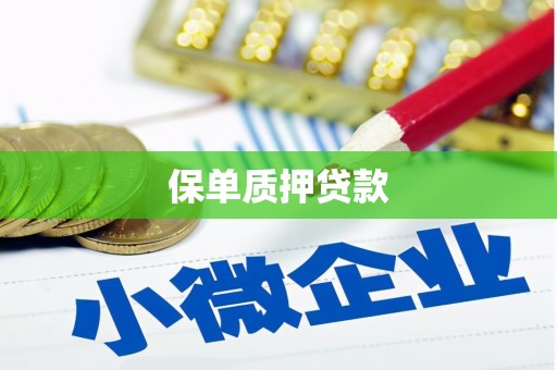 曲靖保单质押贷款