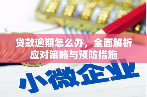 曲靖贷款逾期怎么办，全面解析应对策略与预防措施