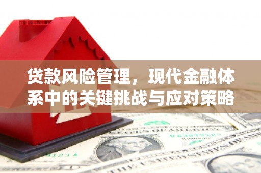 曲靖贷款风险管理，现代金融体系中的关键挑战与应对策略
