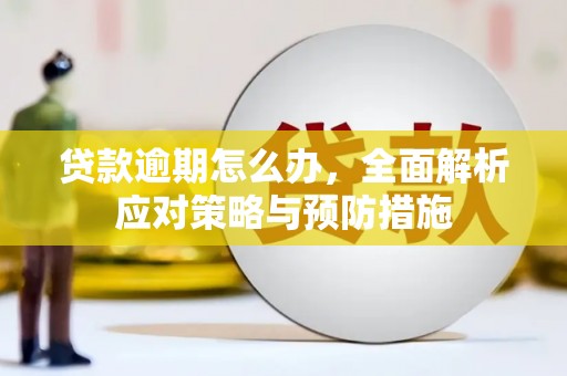 曲靖贷款逾期怎么办，全面解析应对策略与预防措施
