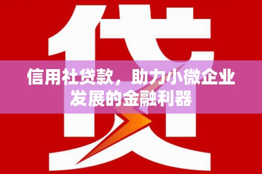 曲靖信用社贷款，助力小微企业发展的金融利器