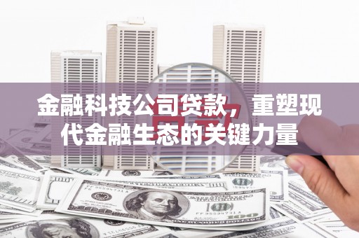 曲靖金融科技公司贷款，重塑现代金融生态的关键力量
