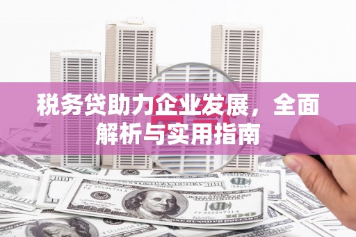 曲靖税务贷助力企业发展，全面解析与实用指南