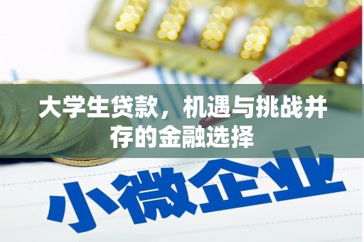 曲靖大学生贷款，机遇与挑战并存的金融选择