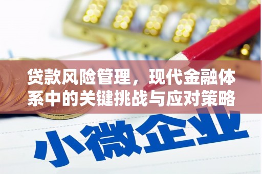 曲靖贷款风险管理，现代金融体系中的关键挑战与应对策略